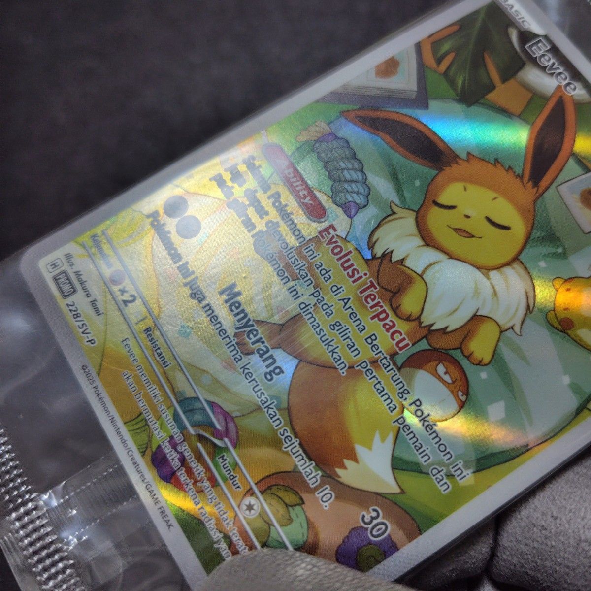 ポケモンカード 228 SV-P 192 Eevee イーブイ プロモ テラスタル ポケモンカード 228 SV-P 192 Eevee イーブイ プロモ テラスタル