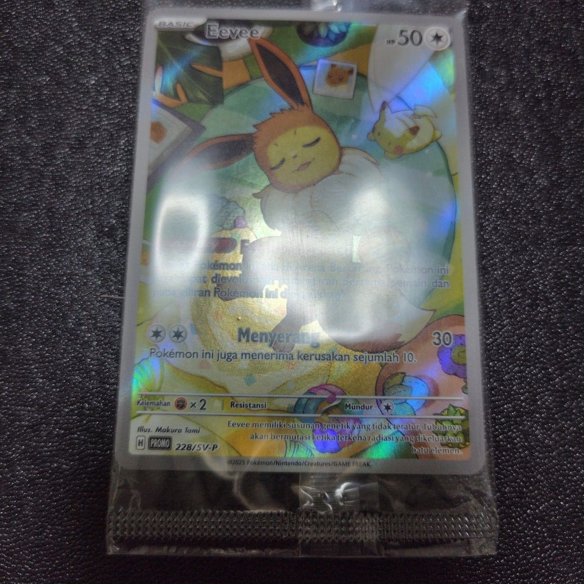 ポケモンカード 228 SV-P 192 Eevee イーブイ プロモ テラスタル ポケモンカード 228 SV-P 192 Eevee イーブイ プロモ テラスタル