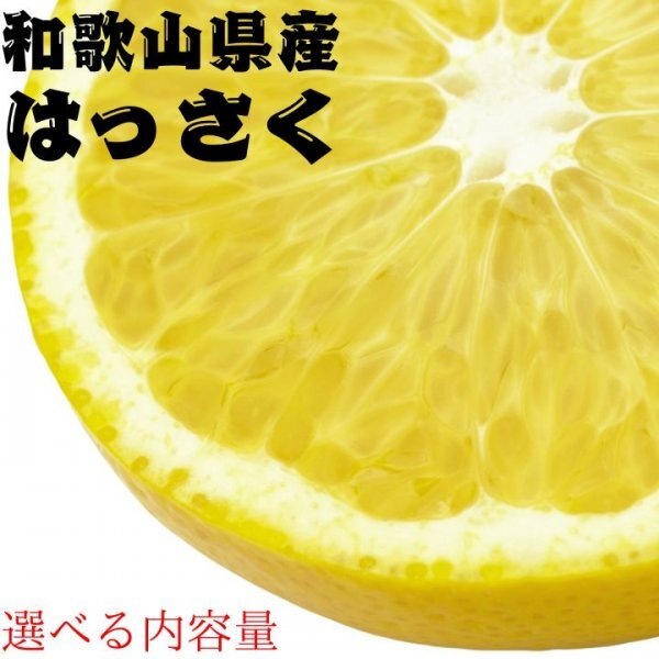 はっさく 4㎏ 八朔 減農薬 濃厚 甘い 産地直送 濃厚 甘い 高糖度 和歌山 甘い 高糖度 超濃厚 魅惑 売り切れご免 B5