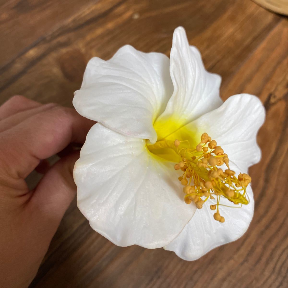 Paypayフリマ ヘッドドレス 白 花 Paypayフリマ ヘッドドレス 白 花