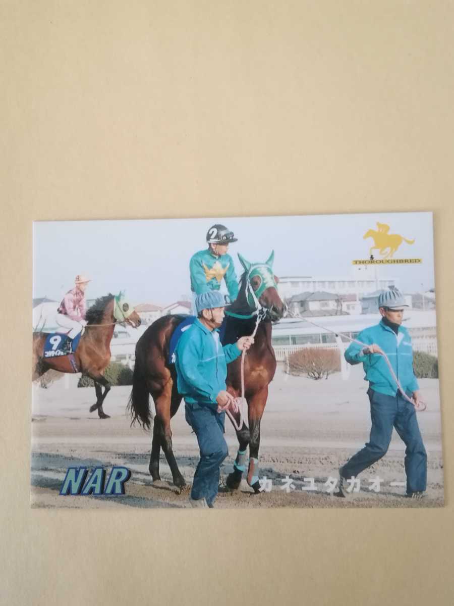 バンダイ　競馬カード　NAR 公営競馬ポピュラーホース　カネユタカオー　199_画像1