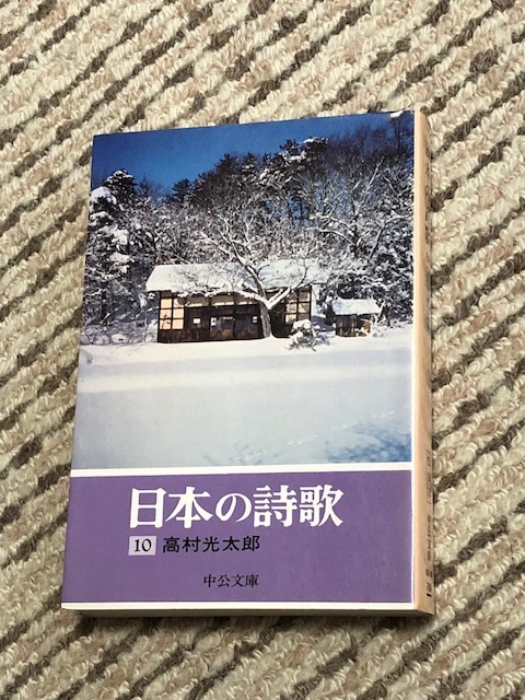 送料込*日本の詩歌 10 高村光太郎*中公文庫*_画像1