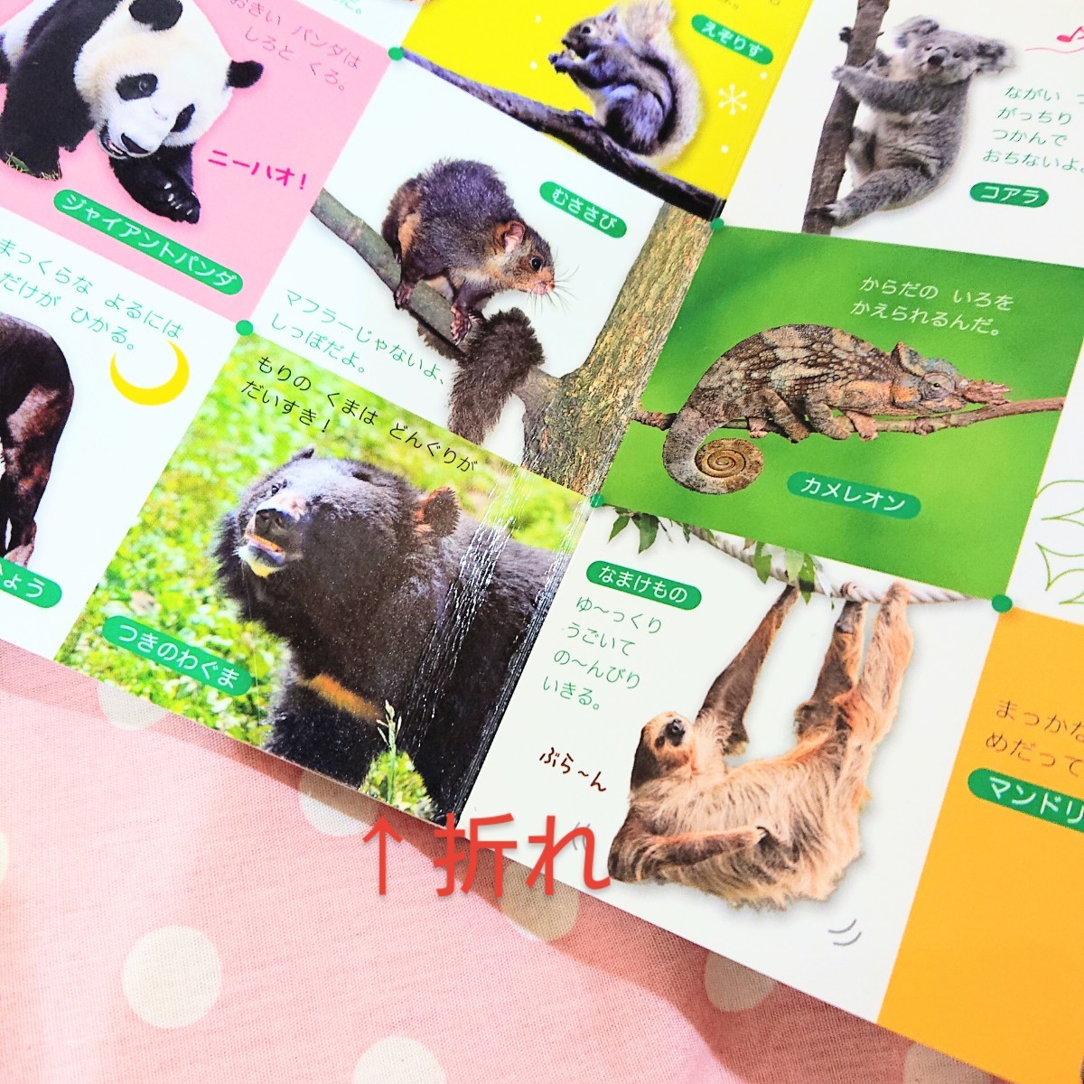 Paypayフリマ みいつけた たっぷりどうぶつずかん Paypayフリマ みいつけた たっぷりどうぶつずかん