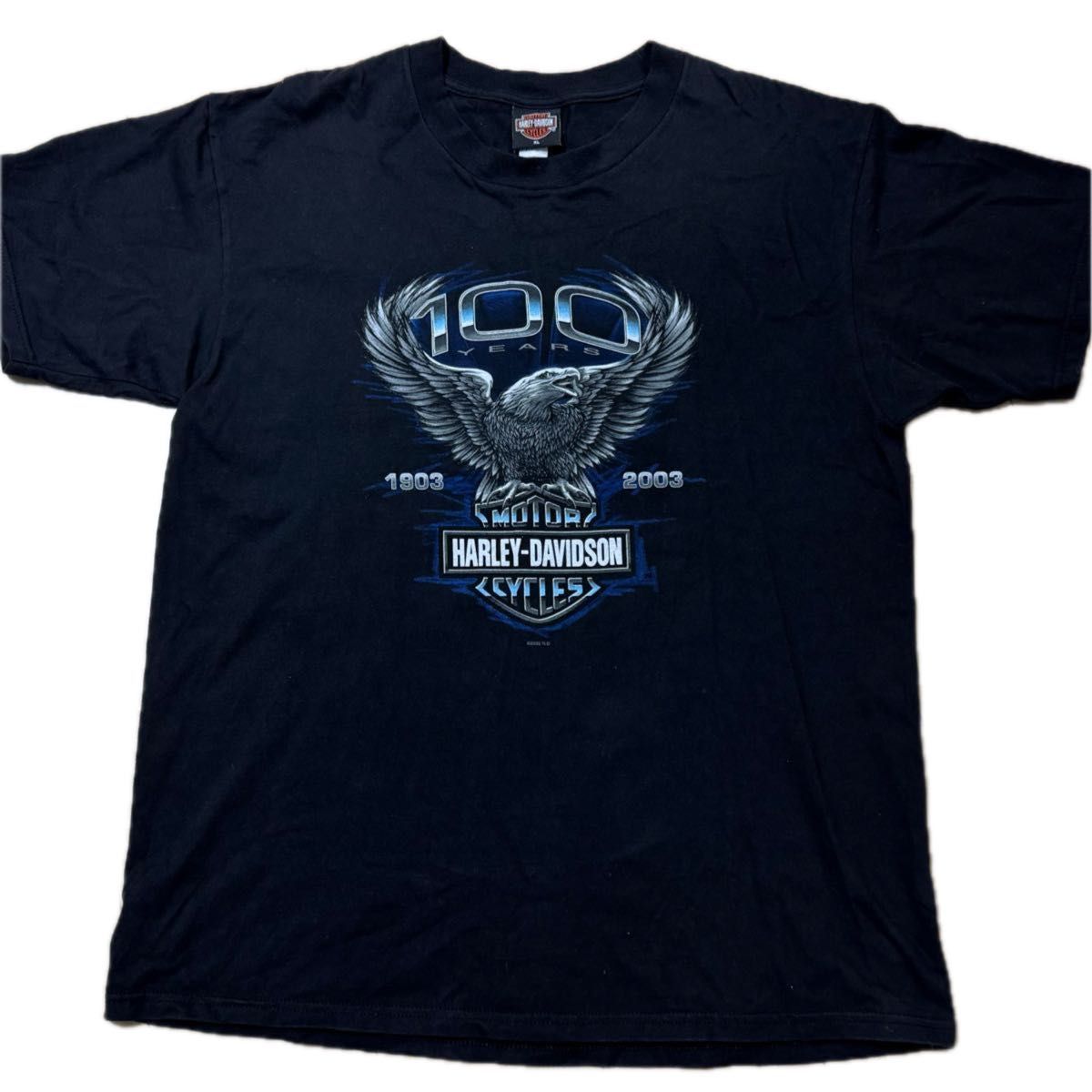 00's 2003年 HARLEY DAVIDSON USA製 ハーレー ダビッドソン T 00's 2003年 HARLEY DAVIDSON USA製 ハーレー ダビッドソン T