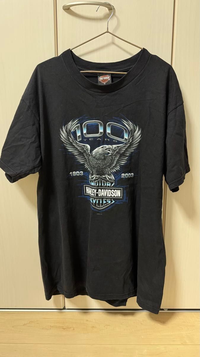 00's 2003年 HARLEY DAVIDSON USA製 ハーレー ダビッドソン T 00's 2003年 HARLEY DAVIDSON USA製 ハーレー ダビッドソン T