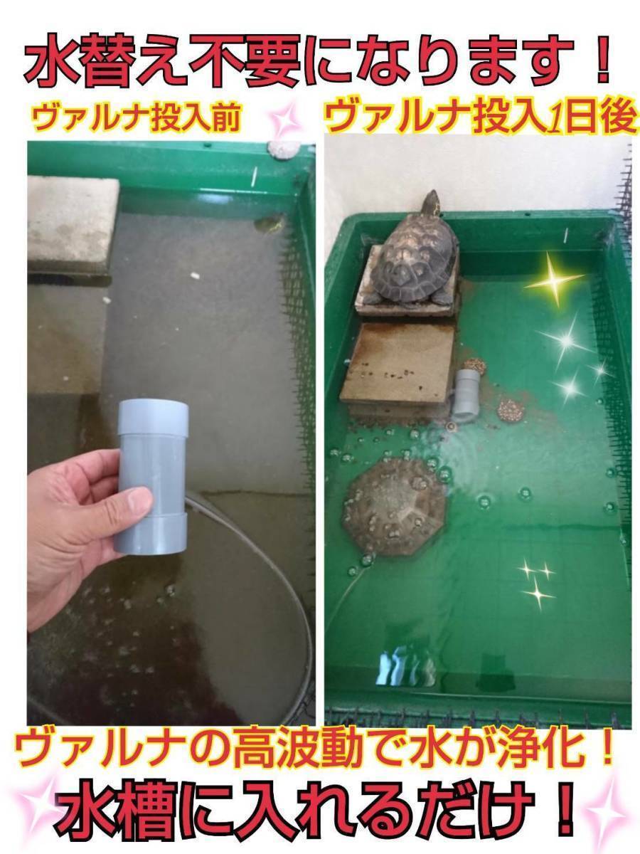 ホントに凄い ヴァルナミニ8センチ 有害物質を強力抑制 透明度が抜群に 水替えも不要になります 水槽に入れるだけ 説明書付き Jauce Shopping Service Yahoo Japan Auctions Ebay Japan ホントに凄い ヴァルナミニ8センチ 有害物質を強力抑制 透明度が抜群に 水替えも不要になります 水槽に入れるだけ 説明書付き Jauce Shopping Service Yahoo Japan Auctions Ebay Japan
