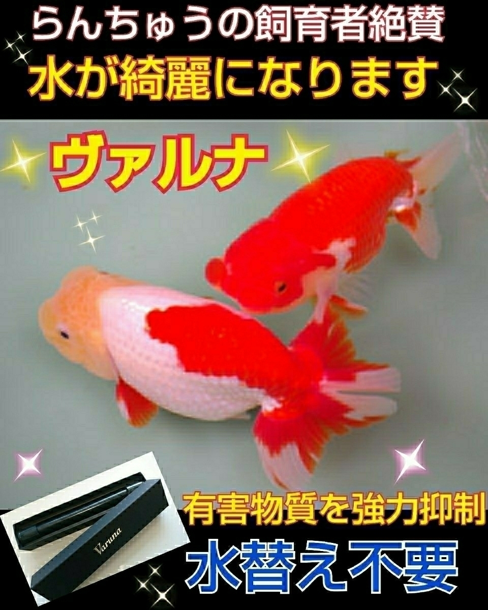 期間限定30%OFF! 水槽の水が綺麗になります☆メダカ飼育者絶賛 ...