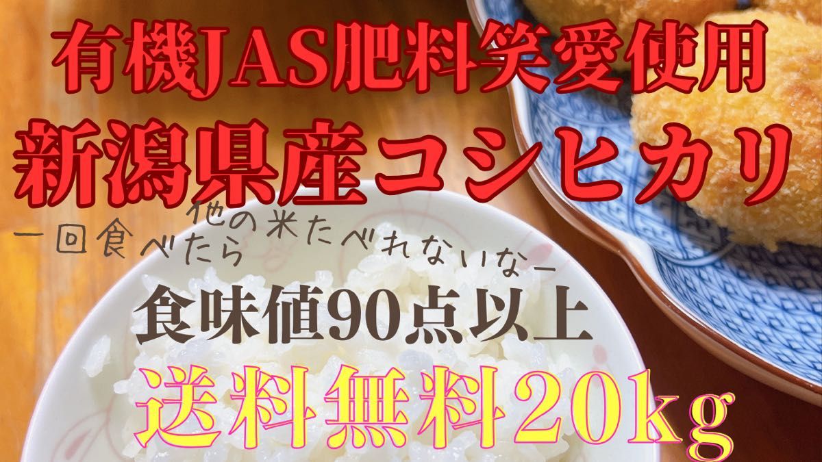 令和6年産 小分け 新潟県産コシヒカリ 20kg(5k×4袋)食味値90点以上 精米無料★農家直送