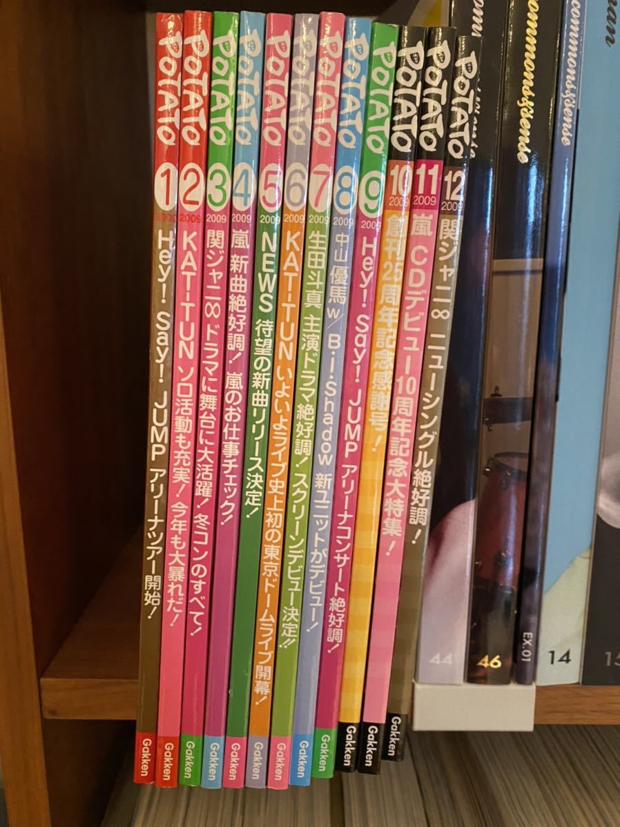 POTATO 2009年1～12月号1年分アイドル誌付録付き｜代購幫