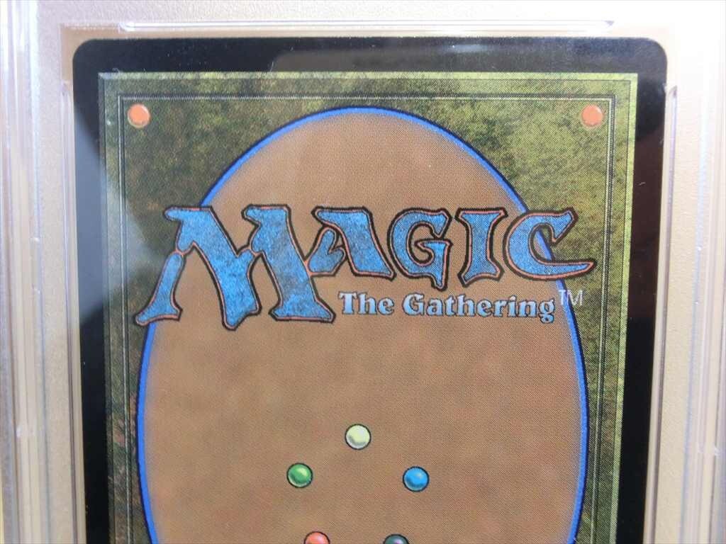 T【ミ6-37】【60サイズ】△【PSA10】マジック:ザ・ギャザリング T【ミ6-37】【60サイズ】△【PSA10】マジック:ザ・ギャザリング