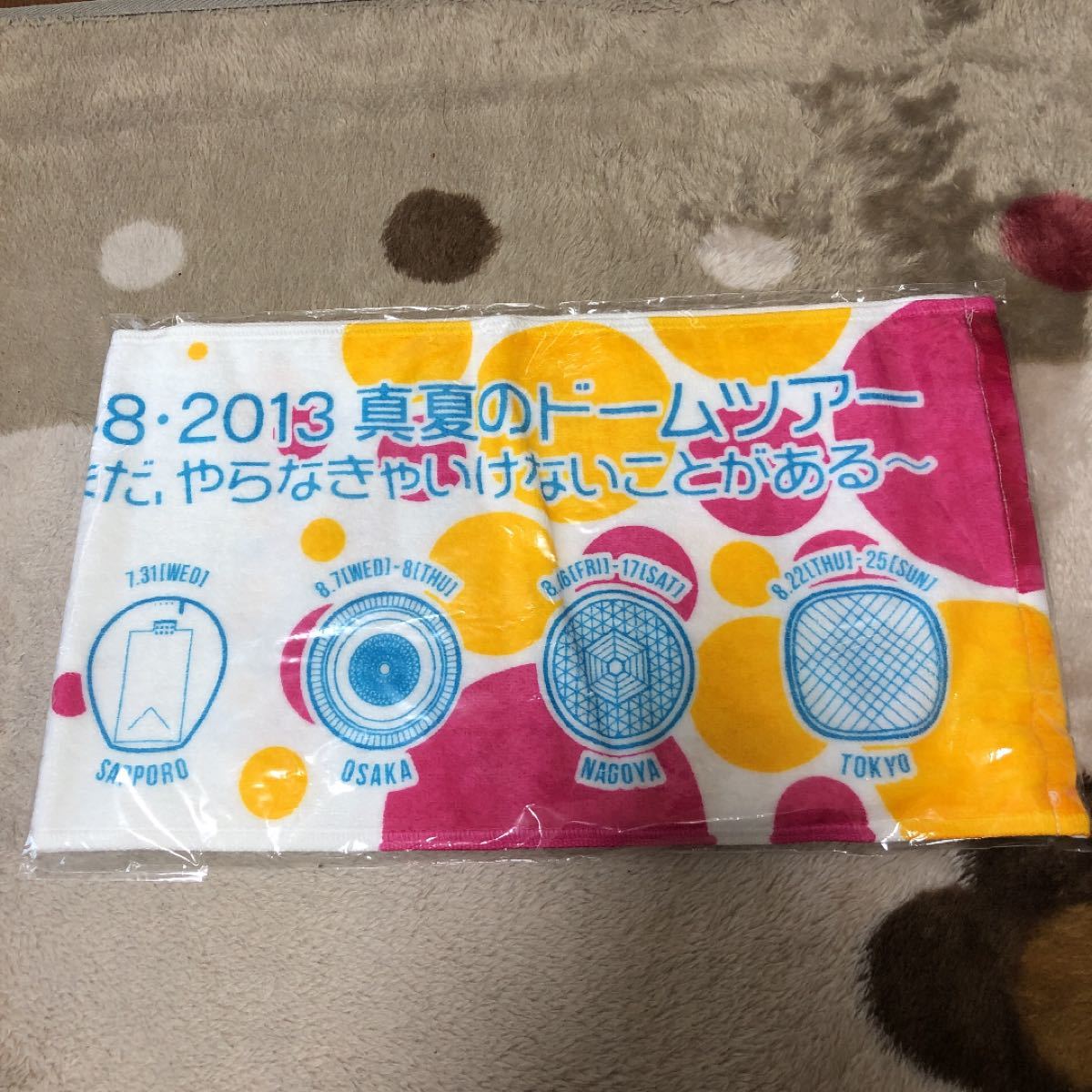 2013AKB48真夏のドームツアー タオル未開封新品