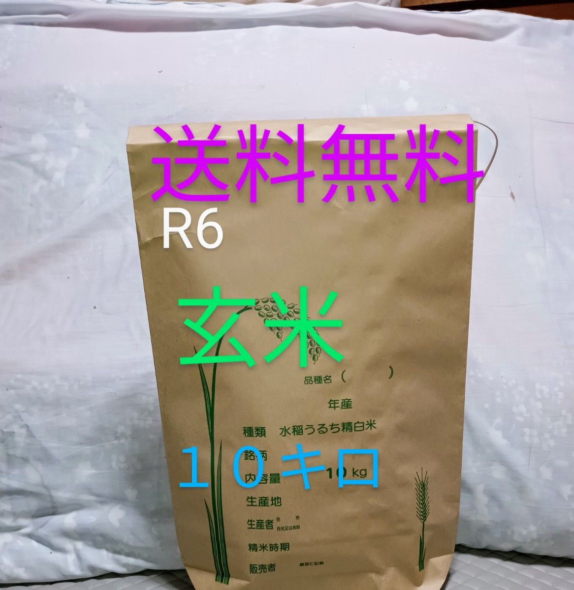 令和6年 石川県産 ひゃくまん穀 玄米10キロ 新米 大粒品種 能登米 農家直送10Kg