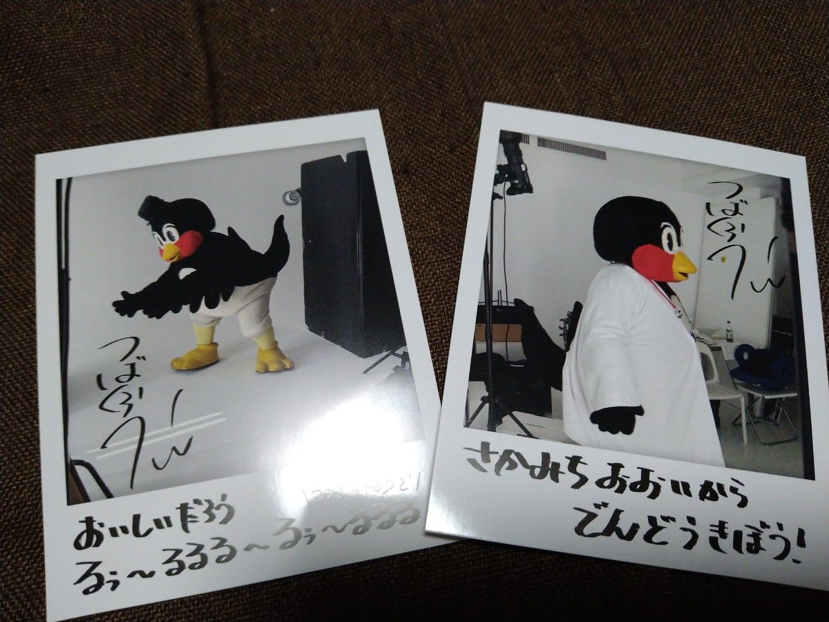 2枚セット つば九郎カレンダー 2025かれんだー の特典 チェキ風 2枚セット つば九郎カレンダー 2025かれんだー の特典 チェキ風