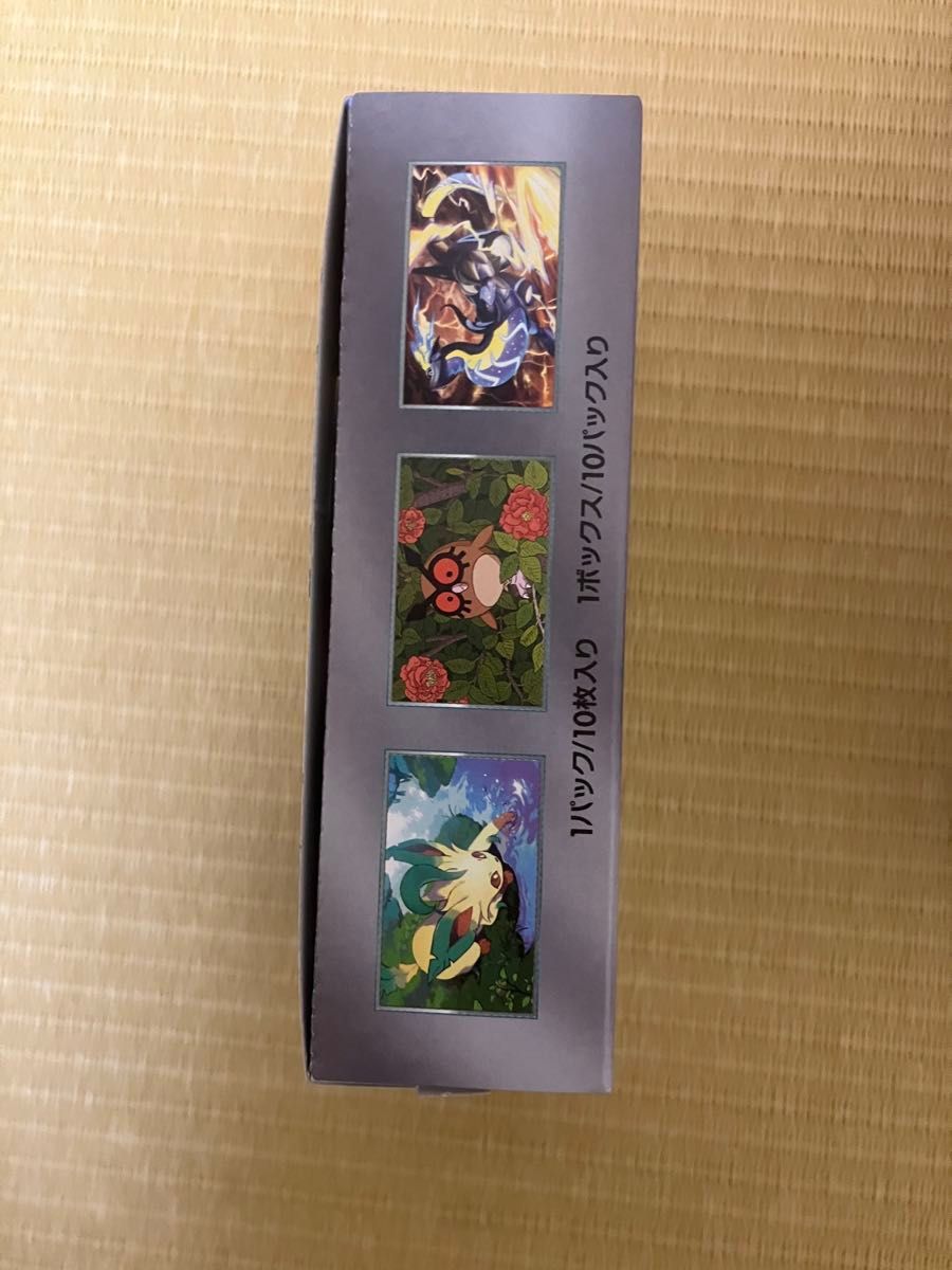 テラスタルフェスex ポケモンカードゲーム ハイクラスパック テラスタルフェスex ポケモンカードゲーム ハイクラスパック