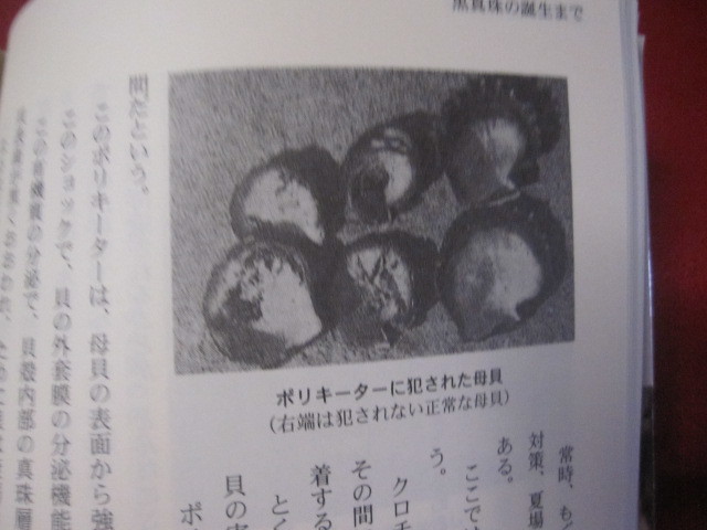 ☆世界初　　　黒蝶真珠誕生物語　　　　そのふるさと　　　沖縄の海と風土　　　　　　　【沖縄・琉球・歴史・文化・自然】_画像9