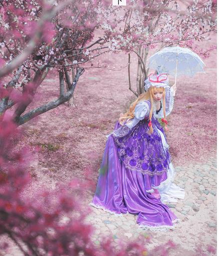 コスプレ衣装 東方Project 八雲紫 西行寺幽々子 1着風(ウィッグ コスプレ衣装 東方Project 八雲紫 西行寺幽々子 1着風(ウィッグ