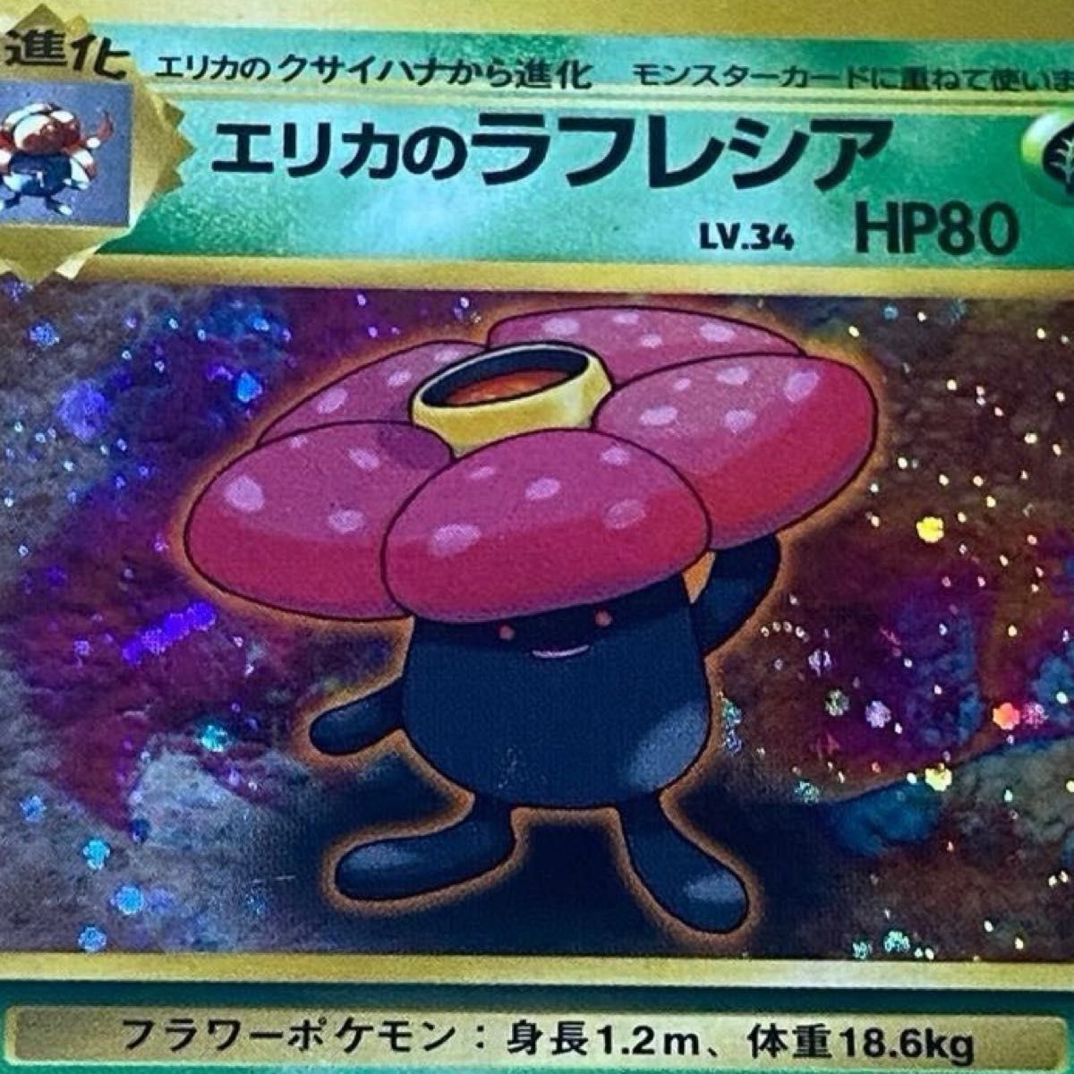 ポケモンカード】 エリカのラフレシア 【レア】キラカード ポケモンカード】 エリカのラフレシア 【レア】キラカード