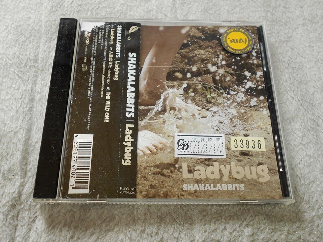 レンタル落ち：帯付 SHAKALABBITS Ladybug 国内盤CDシングル_画像1