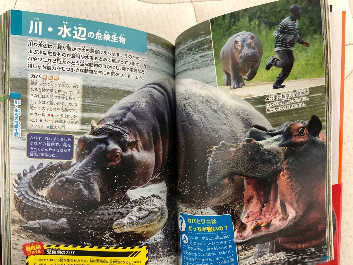 Paypayフリマ 講談社の動く図鑑 Move Mini 危険生物 Paypayフリマ 講談社の動く図鑑 Move Mini 危険生物