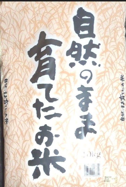 【自然のまま育てたお米】10kg 送料込み