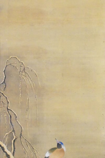 K5292 模写 狩野常信「尾長鳥」絹本 合箱 狩野尚信の子 狩野探幽 K5292 模写 狩野常信「尾長鳥」絹本 合箱 狩野尚信の子 狩野探幽
