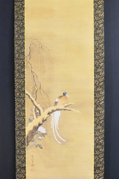 K5292 模写 狩野常信「尾長鳥」絹本 合箱 狩野尚信の子 狩野探幽 K5292 模写 狩野常信「尾長鳥」絹本 合箱 狩野尚信の子 狩野探幽
