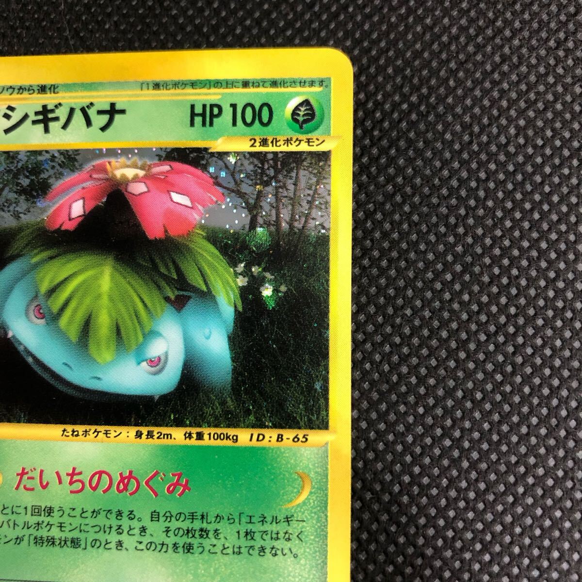 ポケモンカード eカード フシギバナ キラ 美品|Yahoo!フリマ ポケモンカード eカード フシギバナ キラ 美品|Yahoo!フリマ