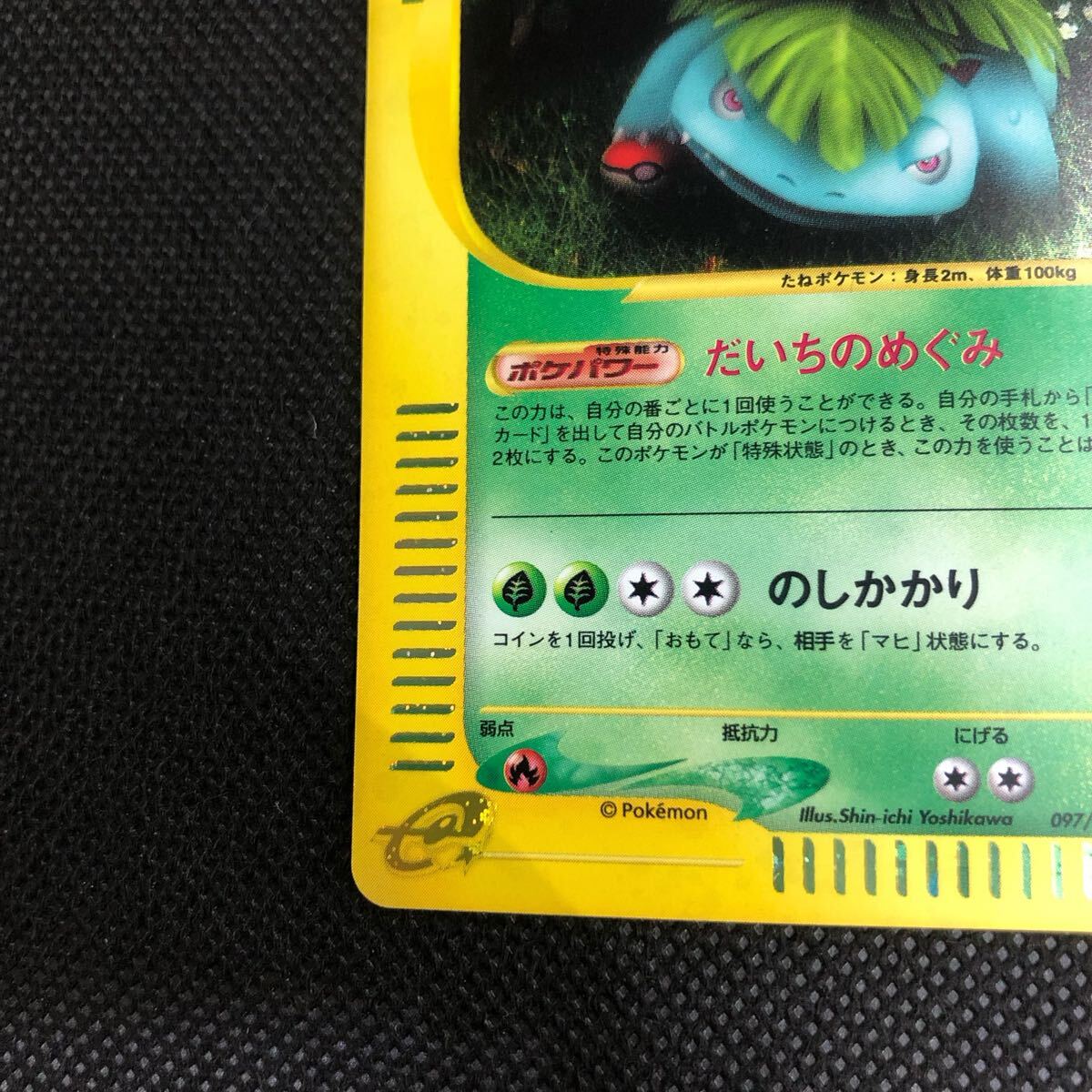 ポケモンカード eカード フシギバナ キラ 美品|Yahoo!フリマ ポケモンカード eカード フシギバナ キラ 美品|Yahoo!フリマ