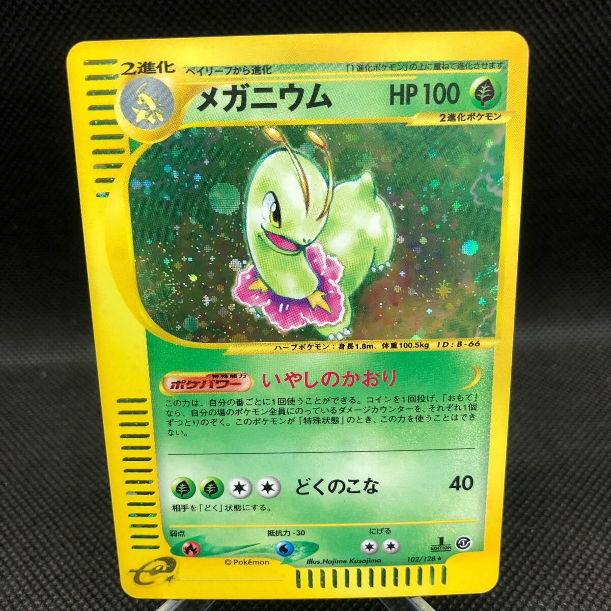 ポケモンカード eカード メガニウム キラ B+|Yahoo!フリマ(旧 ポケモンカード eカード メガニウム キラ B+|Yahoo!フリマ(旧