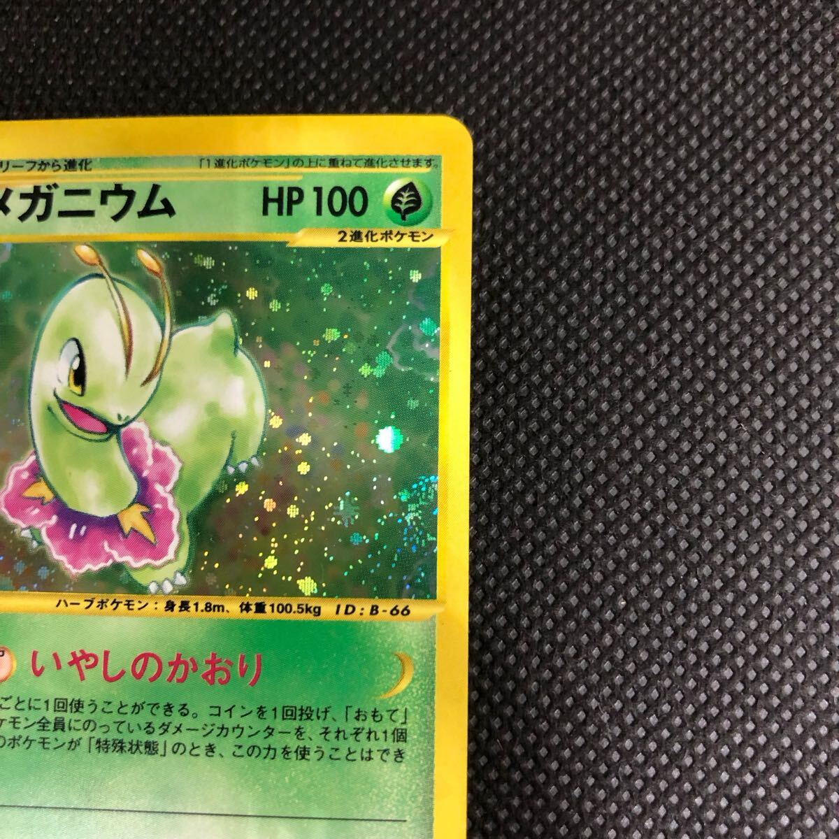 ポケモンカード eカード メガニウム キラ B+|Yahoo!フリマ(旧 ポケモンカード eカード メガニウム キラ B+|Yahoo!フリマ(旧