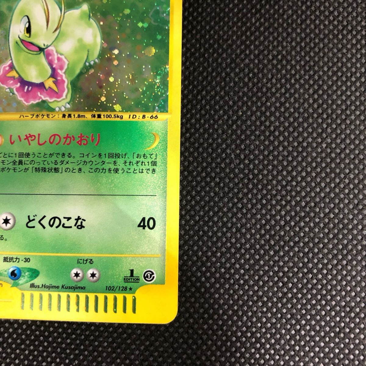 ポケモンカード eカード メガニウム キラ B+|Yahoo!フリマ(旧 ポケモンカード eカード メガニウム キラ B+|Yahoo!フリマ(旧