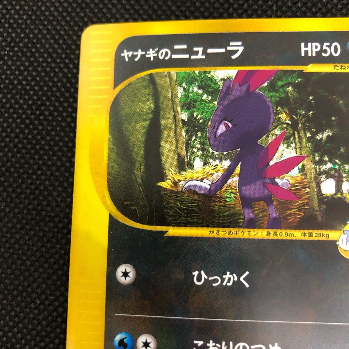 ポケモンカード vsカード ヤナギのマニューラ キラ ④|Yahoo ポケモンカード vsカード ヤナギのマニューラ キラ ④|Yahoo