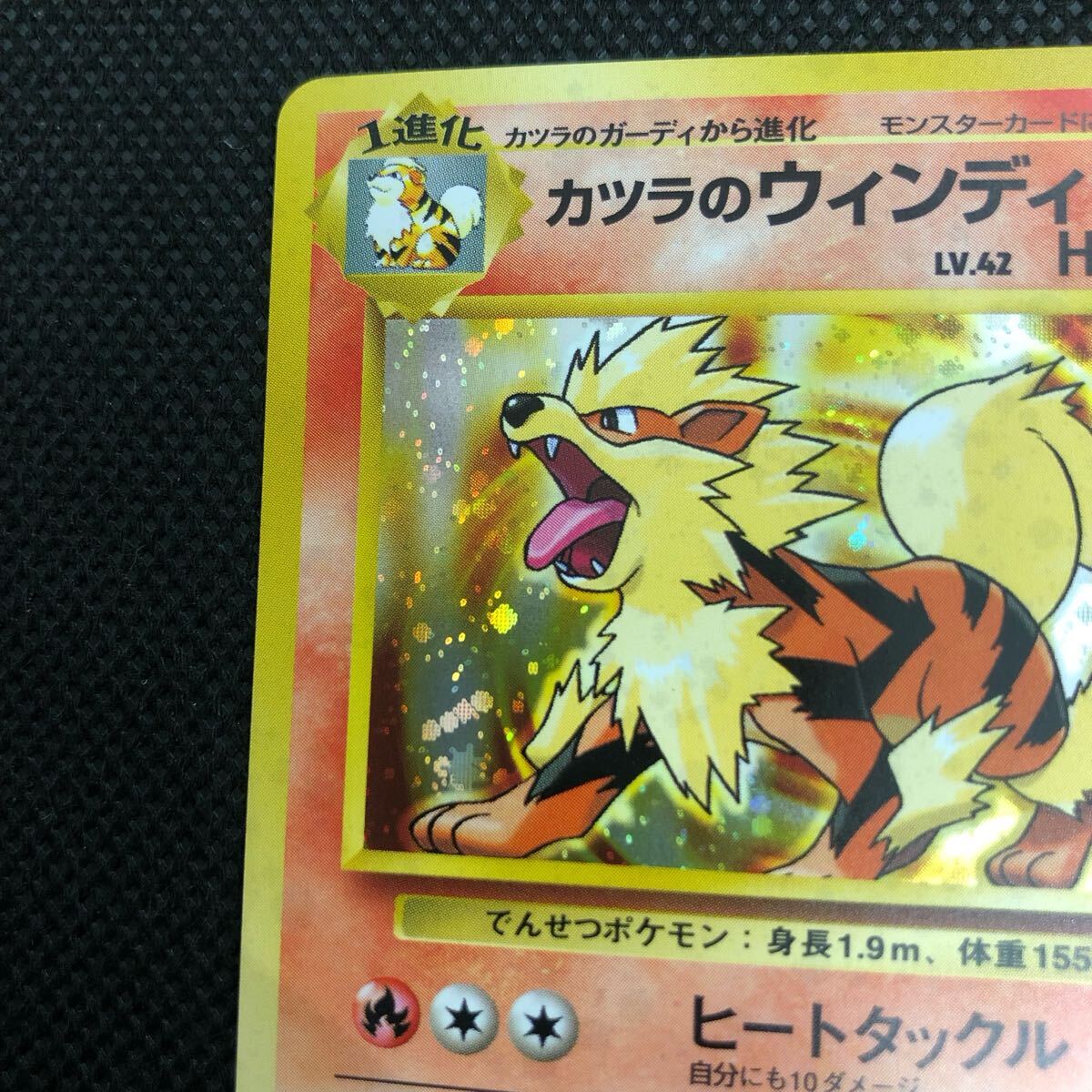 ポケモンカード 旧裏面 旧裏 カツラのウィンディ キラ ②|Yahoo ポケモンカード 旧裏面 旧裏 カツラのウィンディ キラ ②|Yahoo
