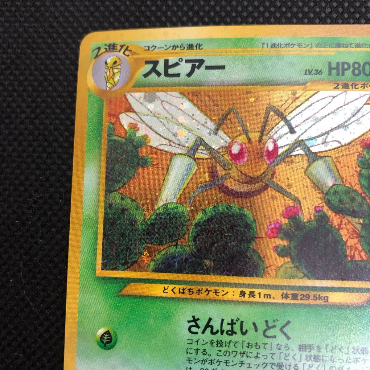 ポケモンカード 旧裏 旧裏面 スピアー セット キラ コレクター ポケモンカード 旧裏 旧裏面 スピアー セット キラ コレクター