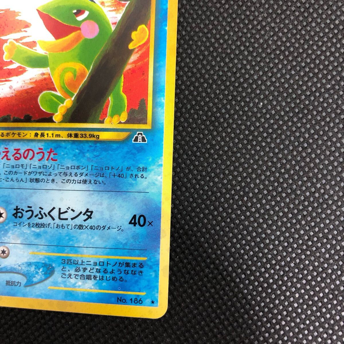 ポケモンカード 旧裏 旧裏面 ニョロトノ キラ コレクター向け ポケモンカード 旧裏 旧裏面 ニョロトノ キラ コレクター向け