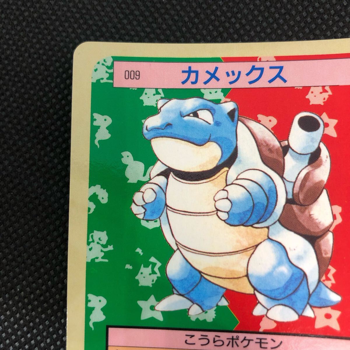 ポケモンカード トップサン 裏青 カード カメックス|Yahoo ポケモンカード トップサン 裏青 カード カメックス|Yahoo