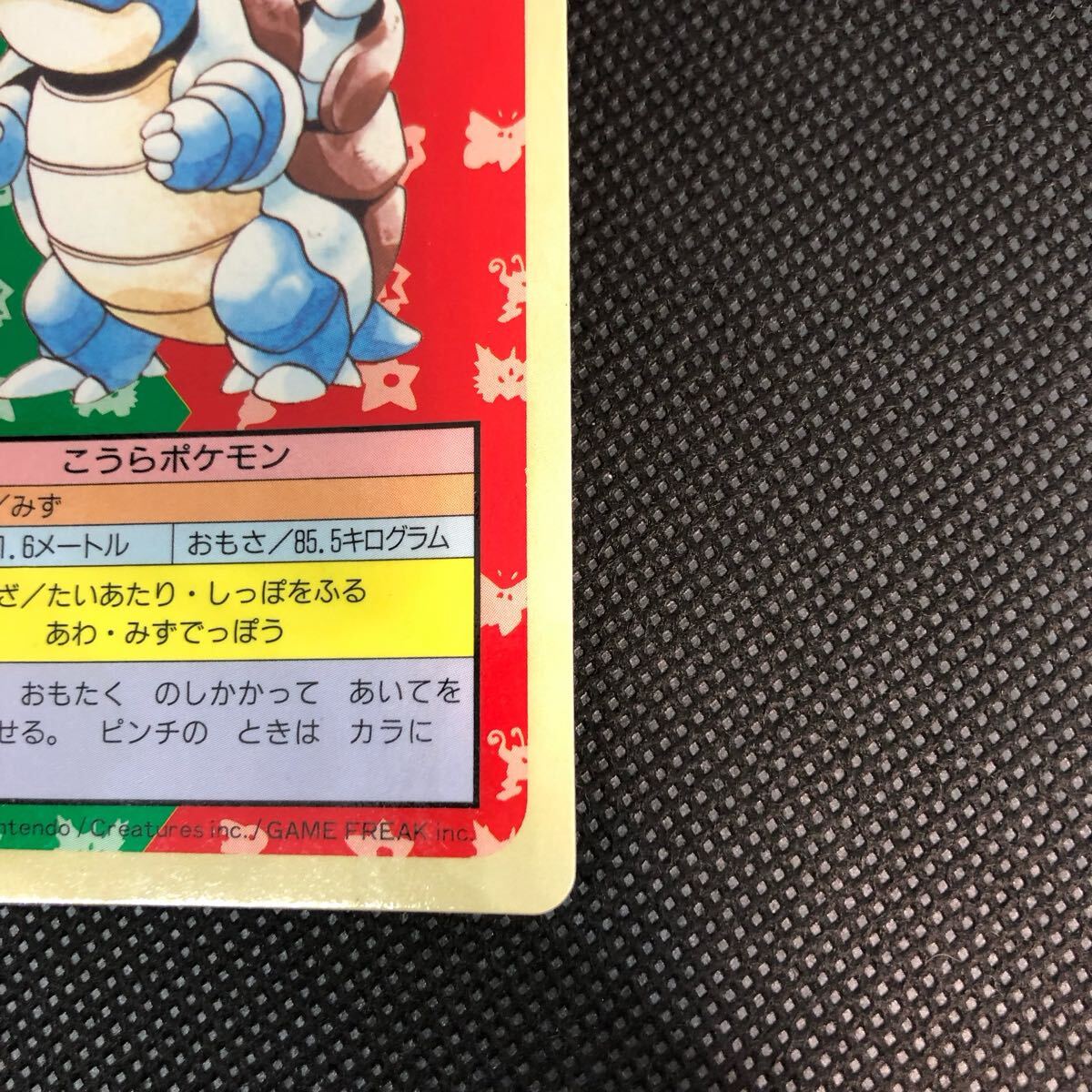 ポケモンカード トップサン 裏青 カード カメックス|Yahoo ポケモンカード トップサン 裏青 カード カメックス|Yahoo