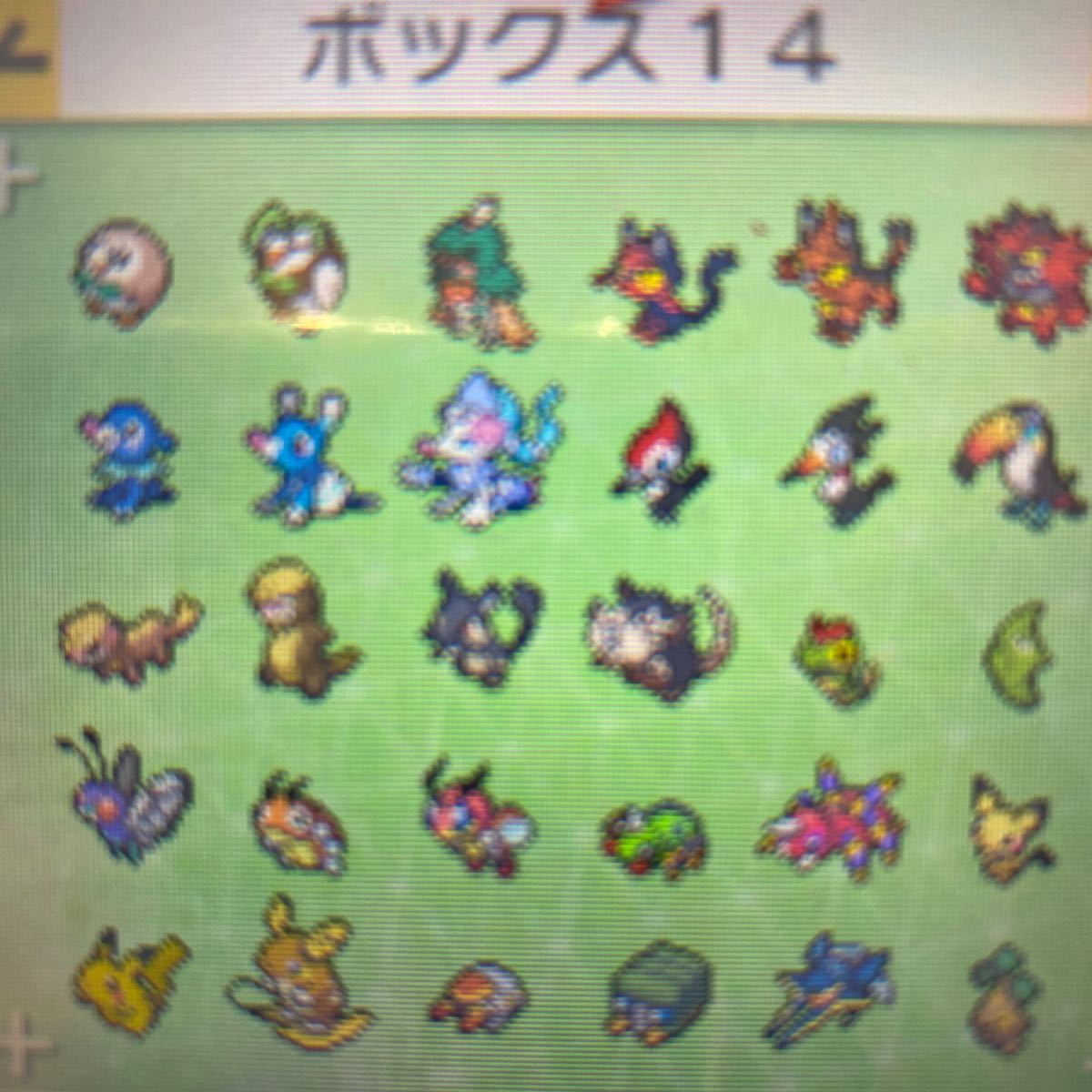 3DS ポケモン ポケットモンスター サン 最強データ入りソフト 色 3DS ポケモン ポケットモンスター サン 最強データ入りソフト 色