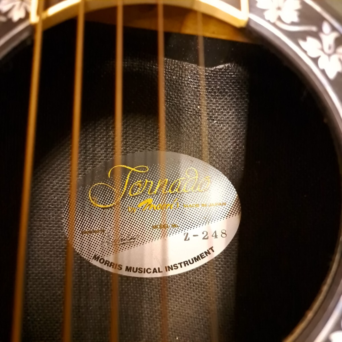 Morris Tornado モーリス トルネード Z-248 エレキ Morris Tornado モーリス トルネード Z-248 エレキ