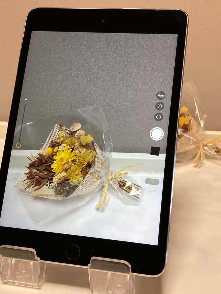 訳あり Apple iPad mini 4 Wi-Fiモデル 128GB MK9N2J/A スペース 訳あり Apple iPad mini 4 Wi-Fiモデル 128GB MK9N2J/A スペース