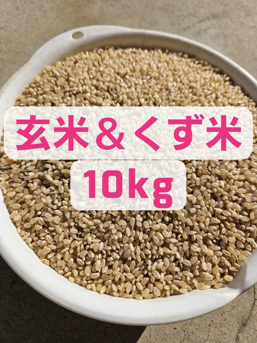 送料無料!鳥エサ 玄米&くず米 エサ 10キロ 鳥エサ 米 玄米 送料無料!鳥エサ 玄米&くず米 エサ 10キロ 鳥エサ 米 玄米