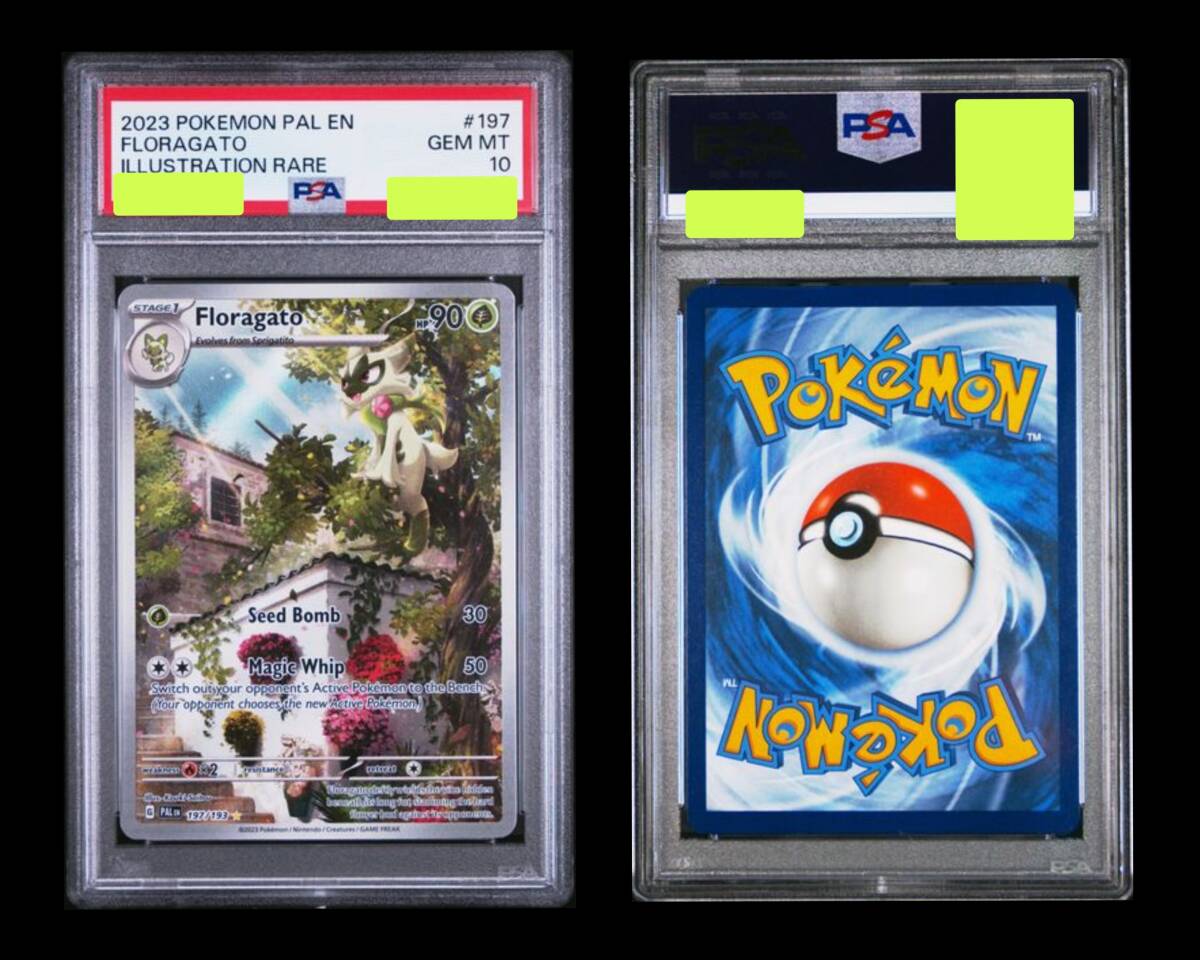 PSA10)英語版 ニャオハ&ニャローテ&マスカーニャ3枚セット PSA10)英語版 ニャオハ&ニャローテ&マスカーニャ3枚セット