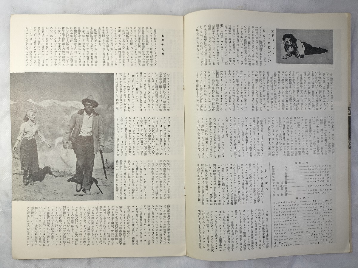 昭和レトロ 映畫パンフレット ブレンフォード主演「欲望の谷 / The Violent Men」1955年 差込み予告チラシ付き