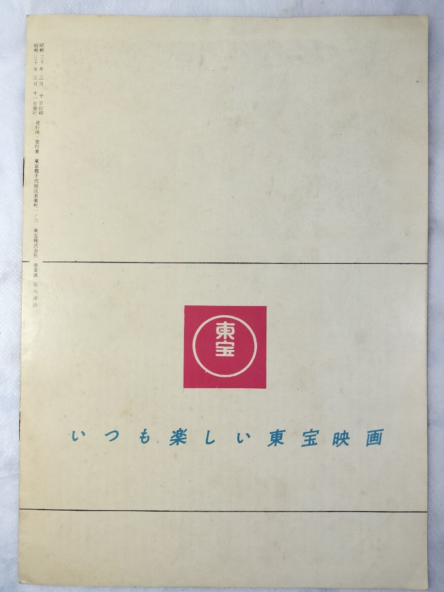 昭和レトロ 映畫パンフレット ブレンフォード主演「欲望の谷 / The Violent Men」1955年 差込み予告チラシ付き