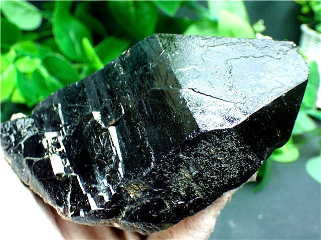AAA級【魔除け】◇天然モリオン(黒水晶)原石182C3-127C11D(原石 AAA級【魔除け】◇天然モリオン(黒水晶)原石182C3-127C11D(原石