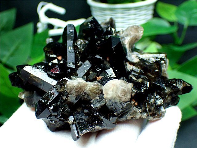 AAA級【魔除け】◇天然モリオン(黒水晶)クラスター181C6 AAA級【魔除け】◇天然モリオン(黒水晶)クラスター181C6