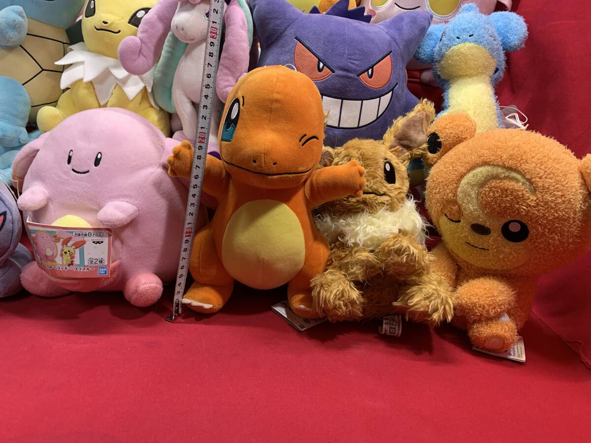 ポケットモンスター pokemon ぬいぐるみ まとめ ミュウ ヒトカゲ ポケットモンスター pokemon ぬいぐるみ まとめ ミュウ ヒトカゲ