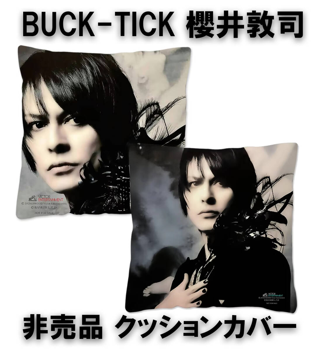 激レア 櫻井敦司 両面 クッションカバー ② BUCK-TICK バクチク 激レア 櫻井敦司 両面 クッションカバー ② BUCK-TICK バクチク
