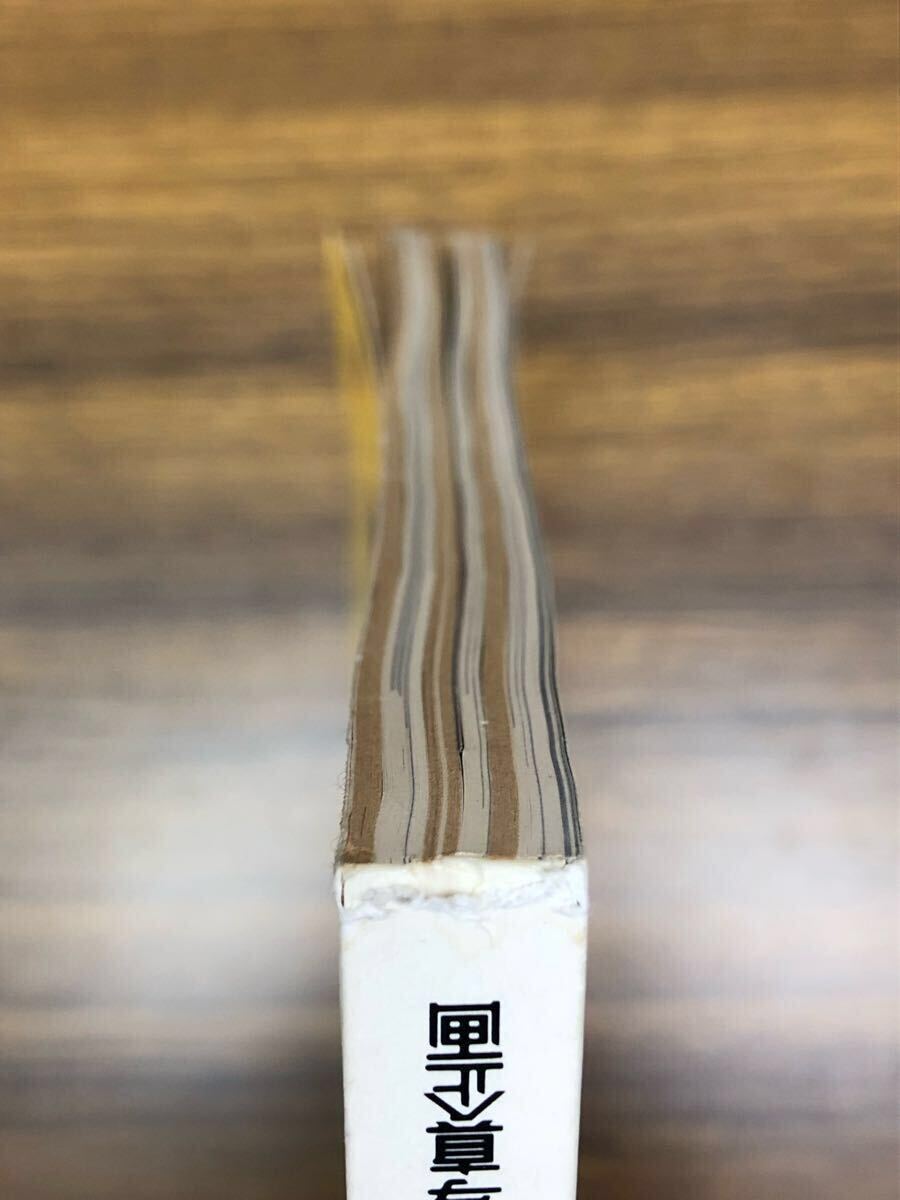 日本フォトコンテスト　1988年12月號 (表紙　早見優(yōu))