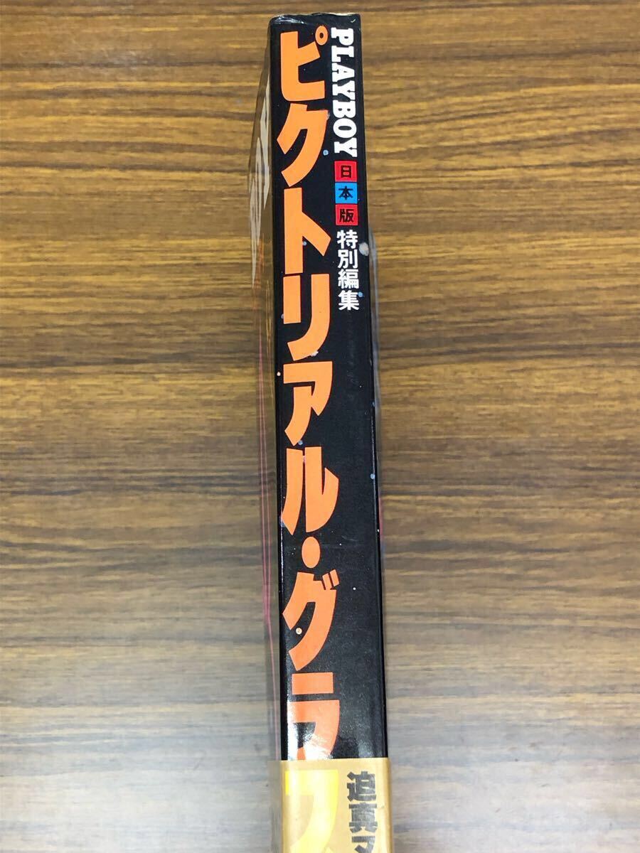 PLAYBOY プレイボーイ　ピクトリアルグラフィティ (日本版特別編集)